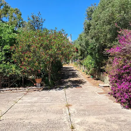 Fmp-ps01 300 Metri Mare 4 Letto * Budoni